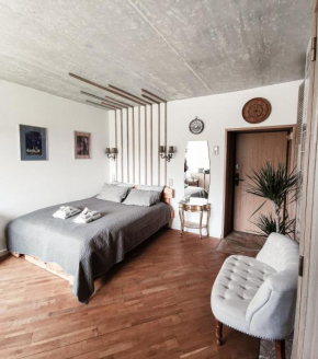 Cozy Studio in Palanga City Center